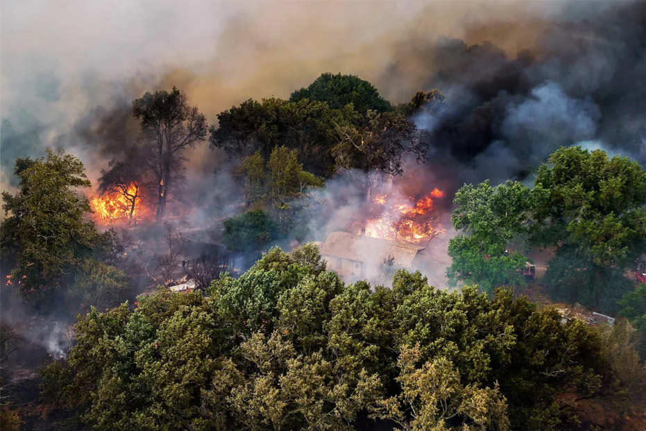 Image feu de forêt du ministère de l'intérieur.
